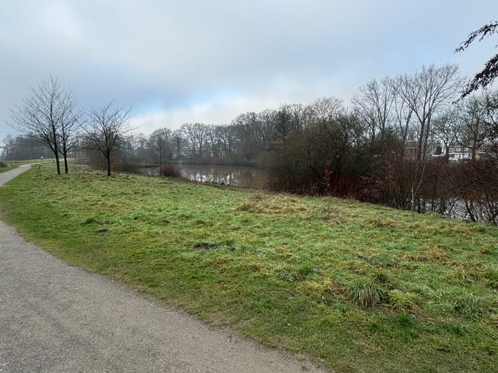 Foto 27 van Europalaan 252