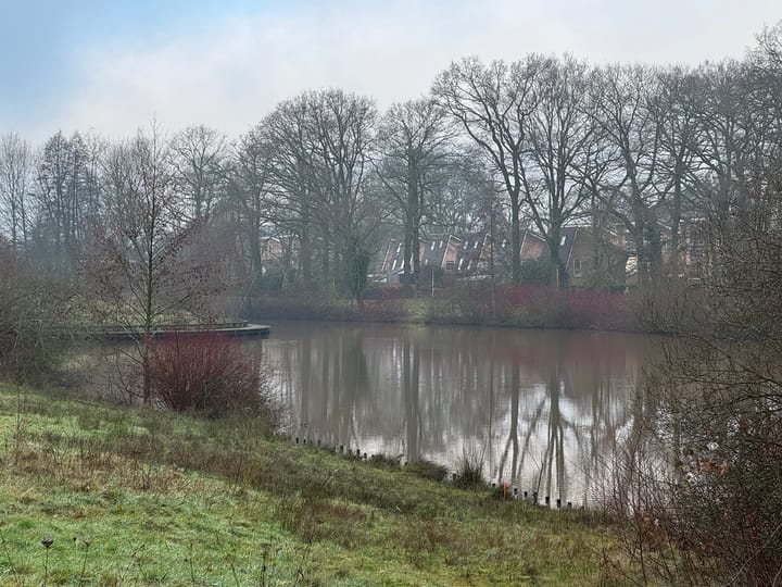 Foto 30 van Europalaan 252