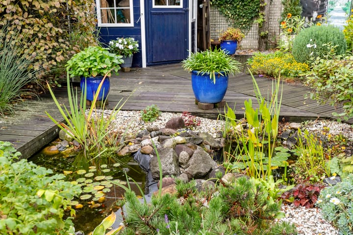 Foto 39 van Vlaggeschip 42