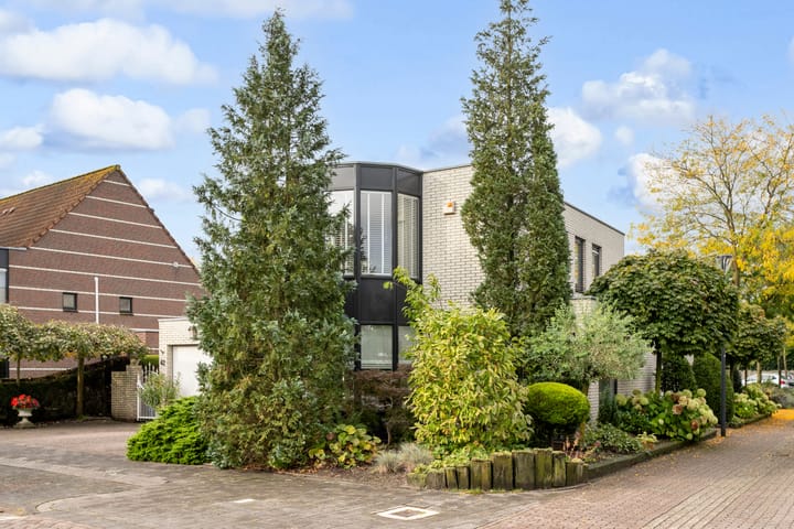 Foto 7 van Vlaggeschip 42