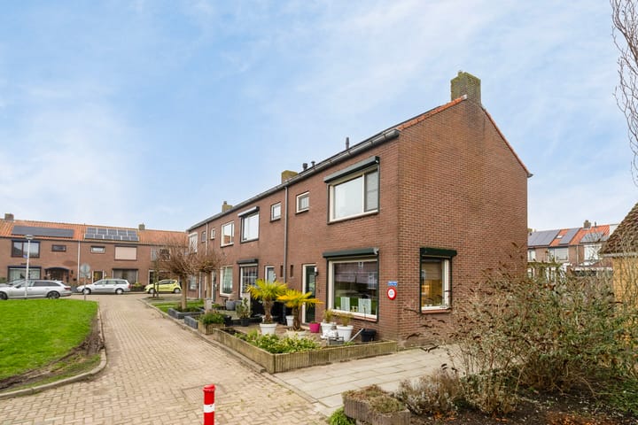 undefined main image