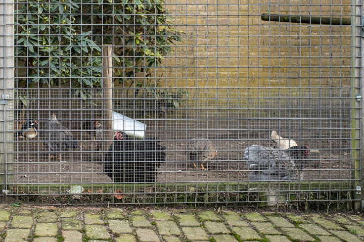 Foto 44 van Akkerweg 2