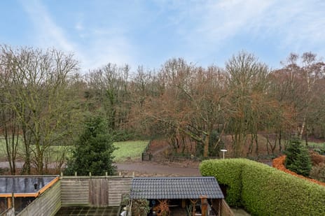 Hanekamp 4 tertiary image