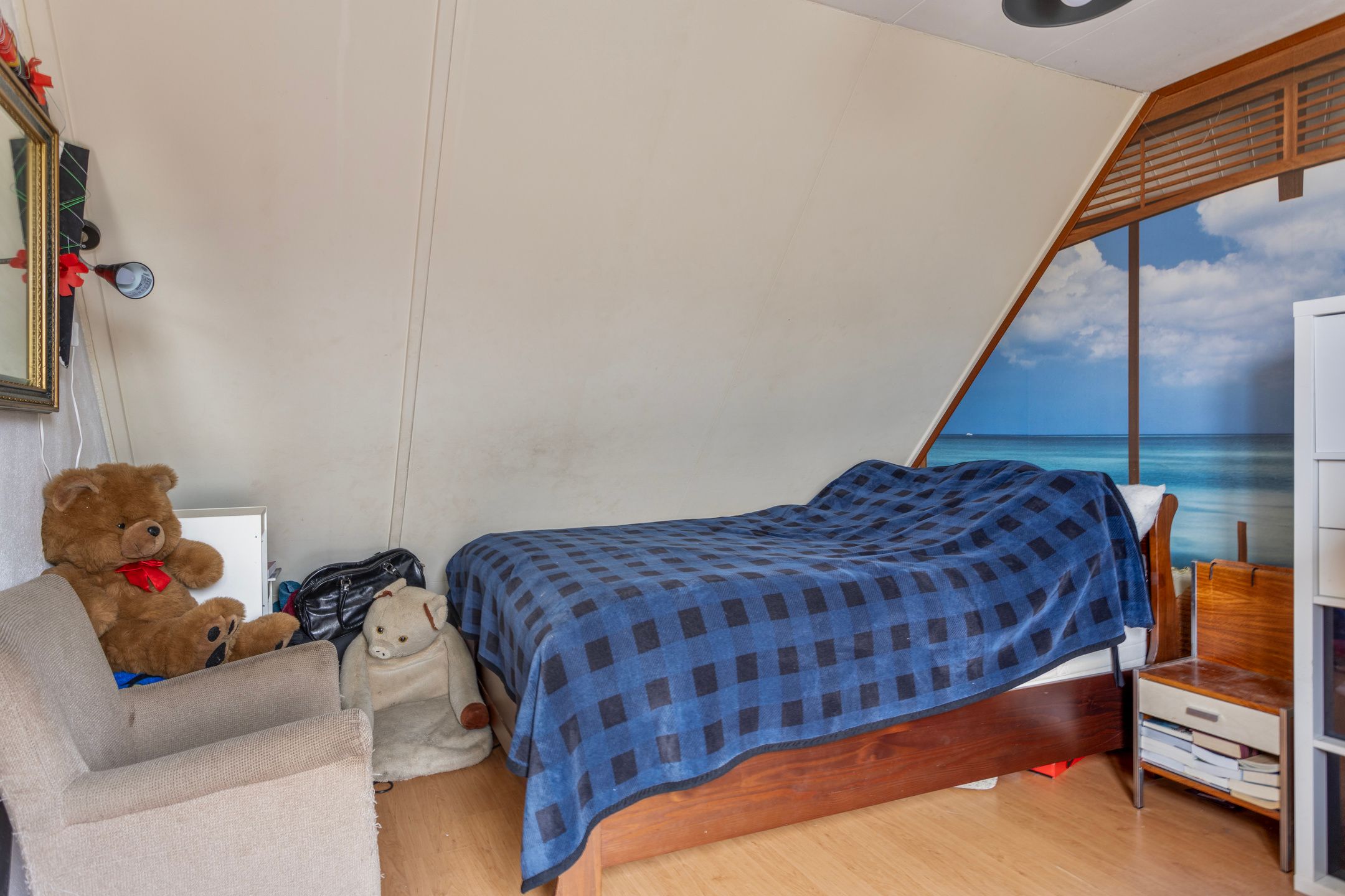 Foto 21 van Hanekamp 4