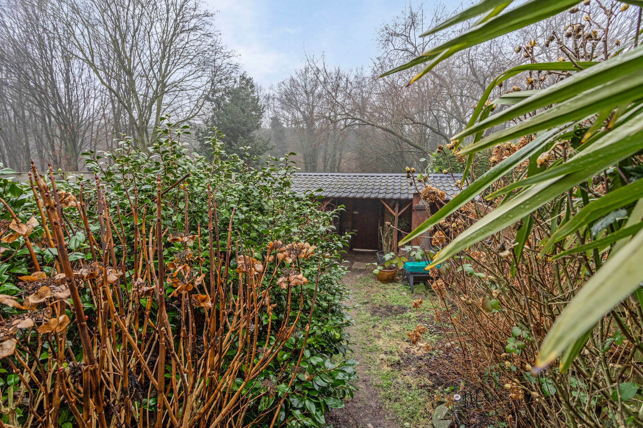 Foto 24 van Hanekamp 4