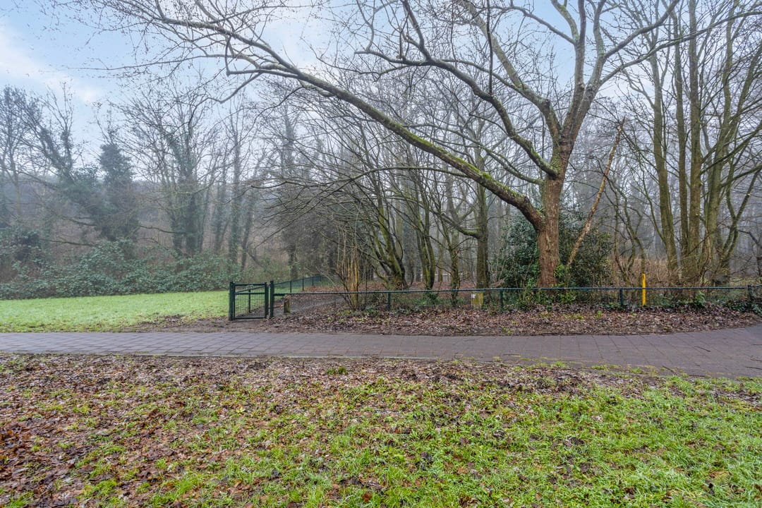 Foto 28 van Hanekamp 4