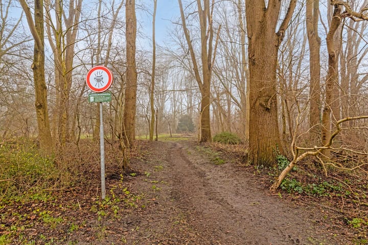 Foto 44 van J.F. Ankersmitstraat 2