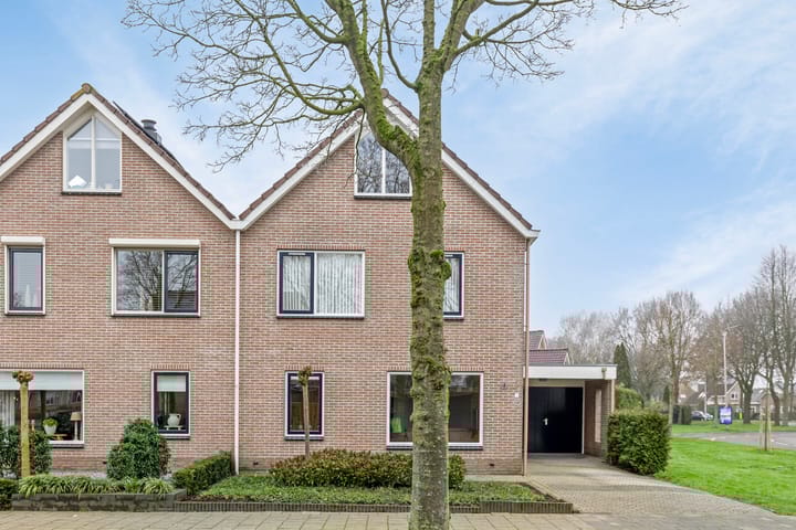 Foto 2 van Koolmees 1