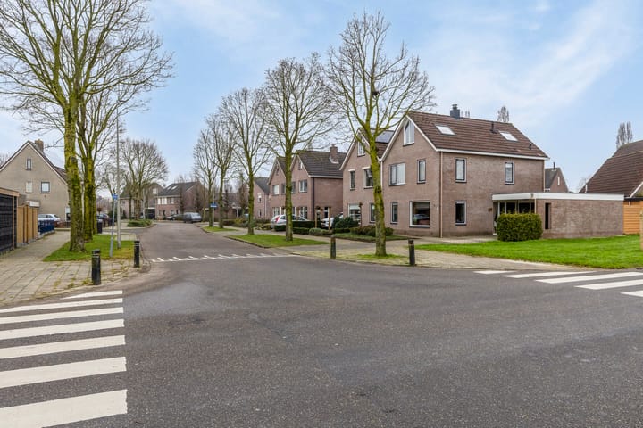 Foto 3 van Koolmees 1