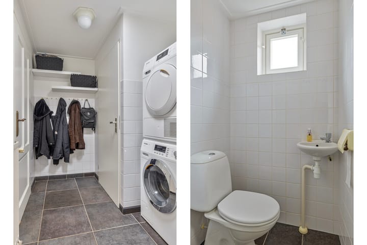 Foto 12 van Koolmees 1