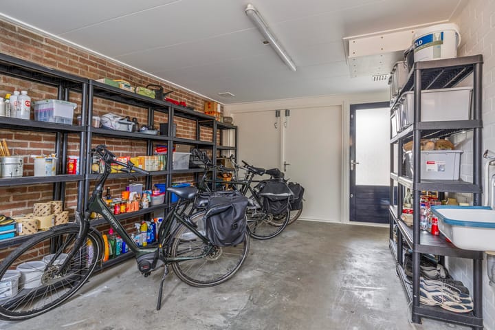 Foto 13 van Koolmees 1