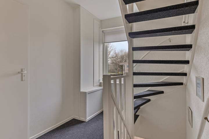 Foto 16 van Koolmees 1