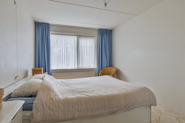 Foto 17 van Koolmees 1