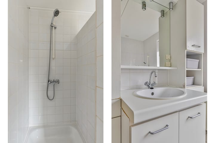 Foto 23 van Koolmees 1