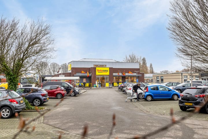 Foto 37 van Koolmees 1