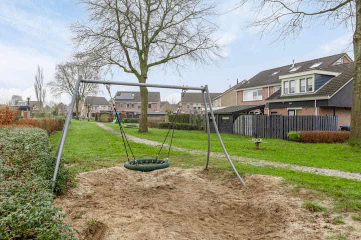 Foto 38 van Koolmees 1