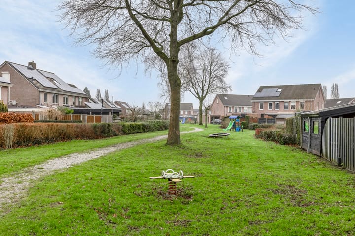 Foto 39 van Koolmees 1