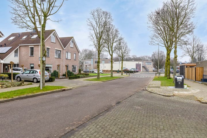 Foto 36 van Koolmees 1