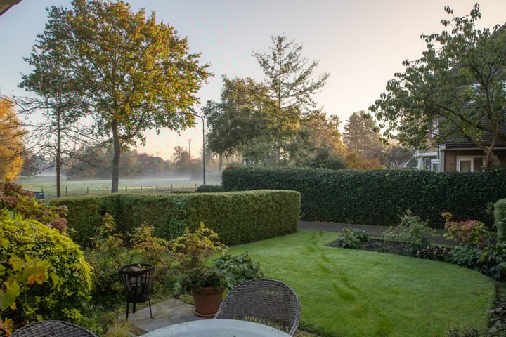 Foto 18 van Laan van Boreel 6