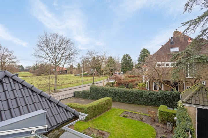 Foto 43 van Laan van Boreel 6