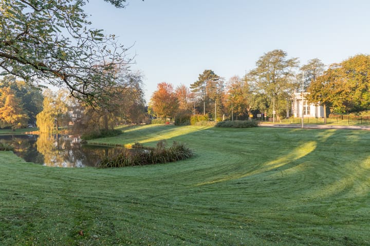 Foto 65 van Laan van Boreel 6