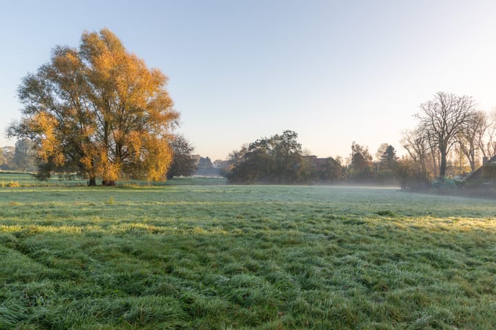 Foto 66 van Laan van Boreel 6