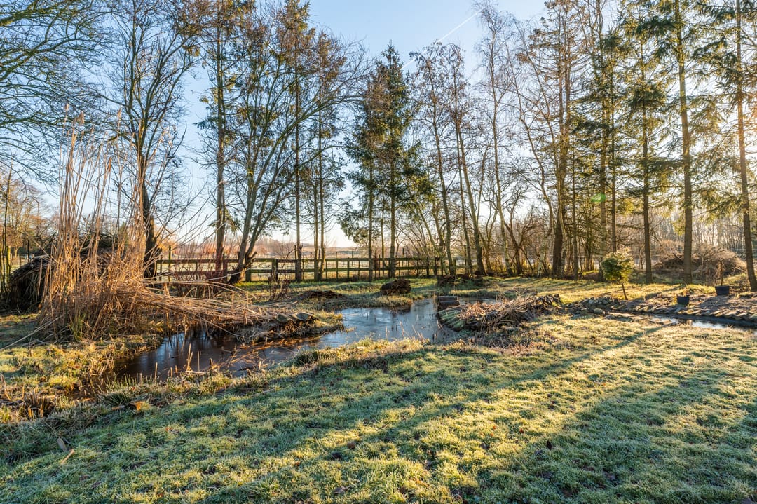 Foto 41 van Nieuweweg 15