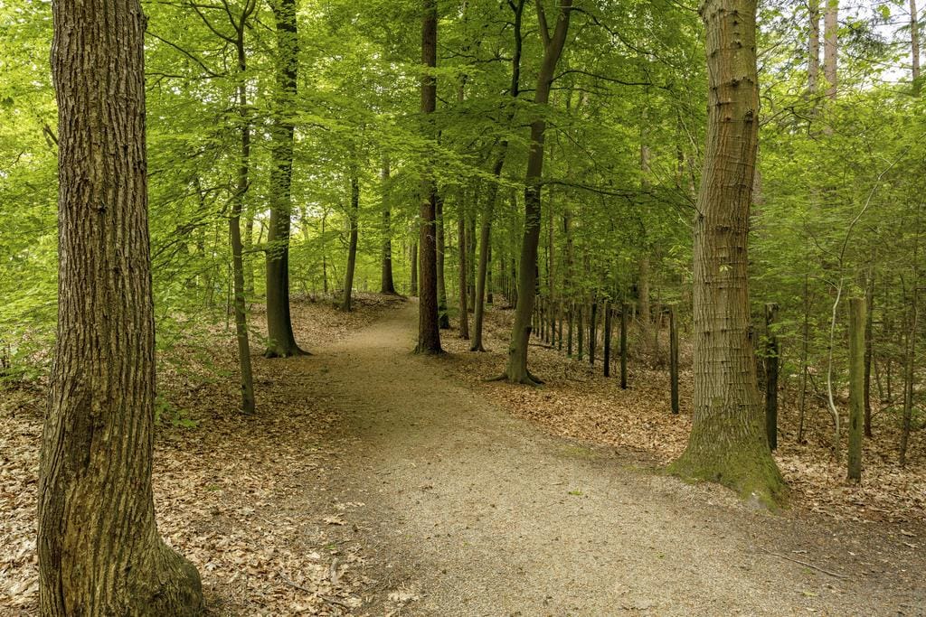 Photo 32 of Vredehofstraat 15-C