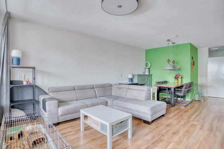 Foto 3 van Slangenburg 289