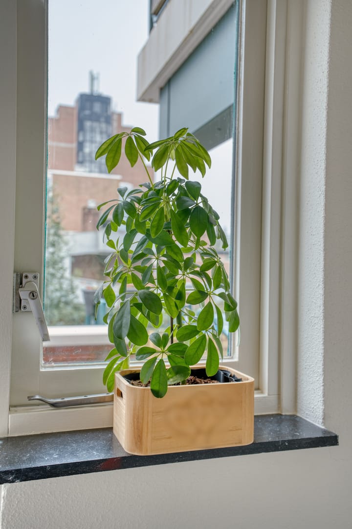 Foto 31 van Slangenburg 289