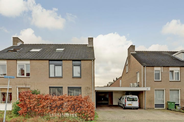 Foto 1 van Helmkruid 32