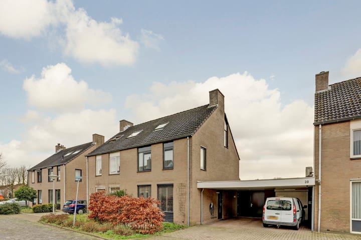 Foto 49 van Helmkruid 32