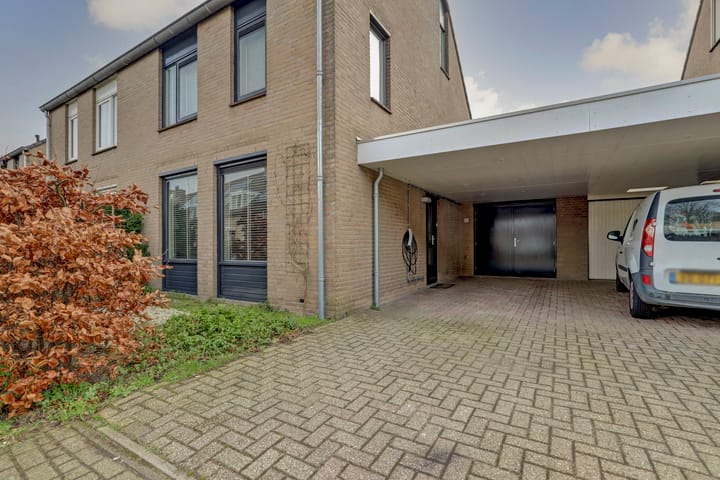 Foto 48 van Helmkruid 32