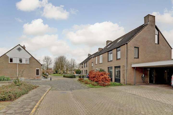 Foto 50 van Helmkruid 32