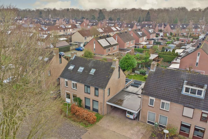 Foto 52 van Helmkruid 32