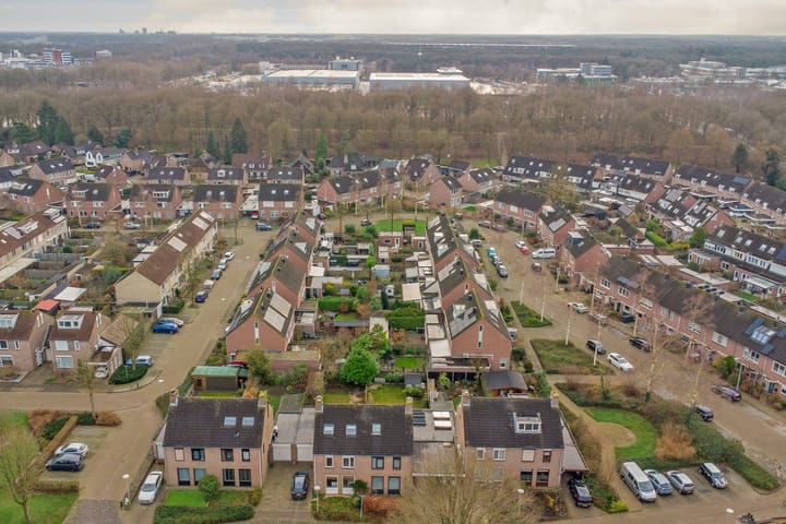 Foto 53 van Helmkruid 32