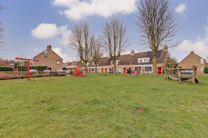 Foto 54 van Helmkruid 32