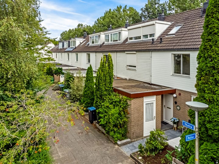 Foto 8 van Thalia 31