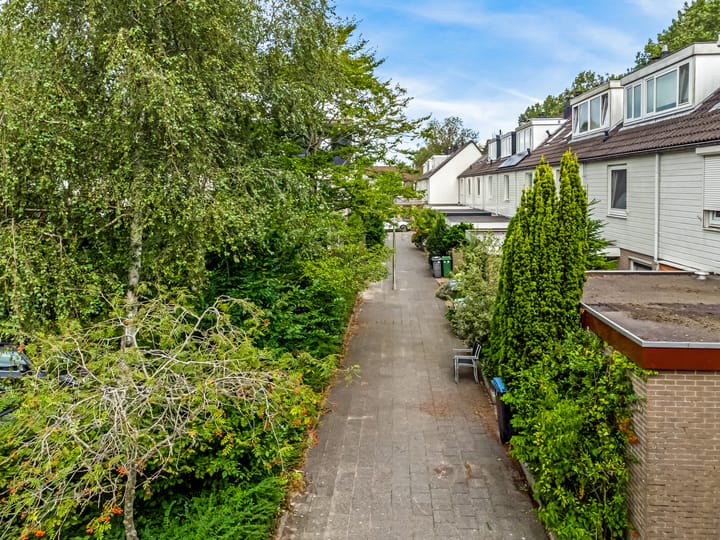 Foto 9 van Thalia 31