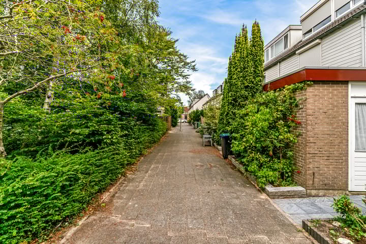 Foto 15 van Thalia 31