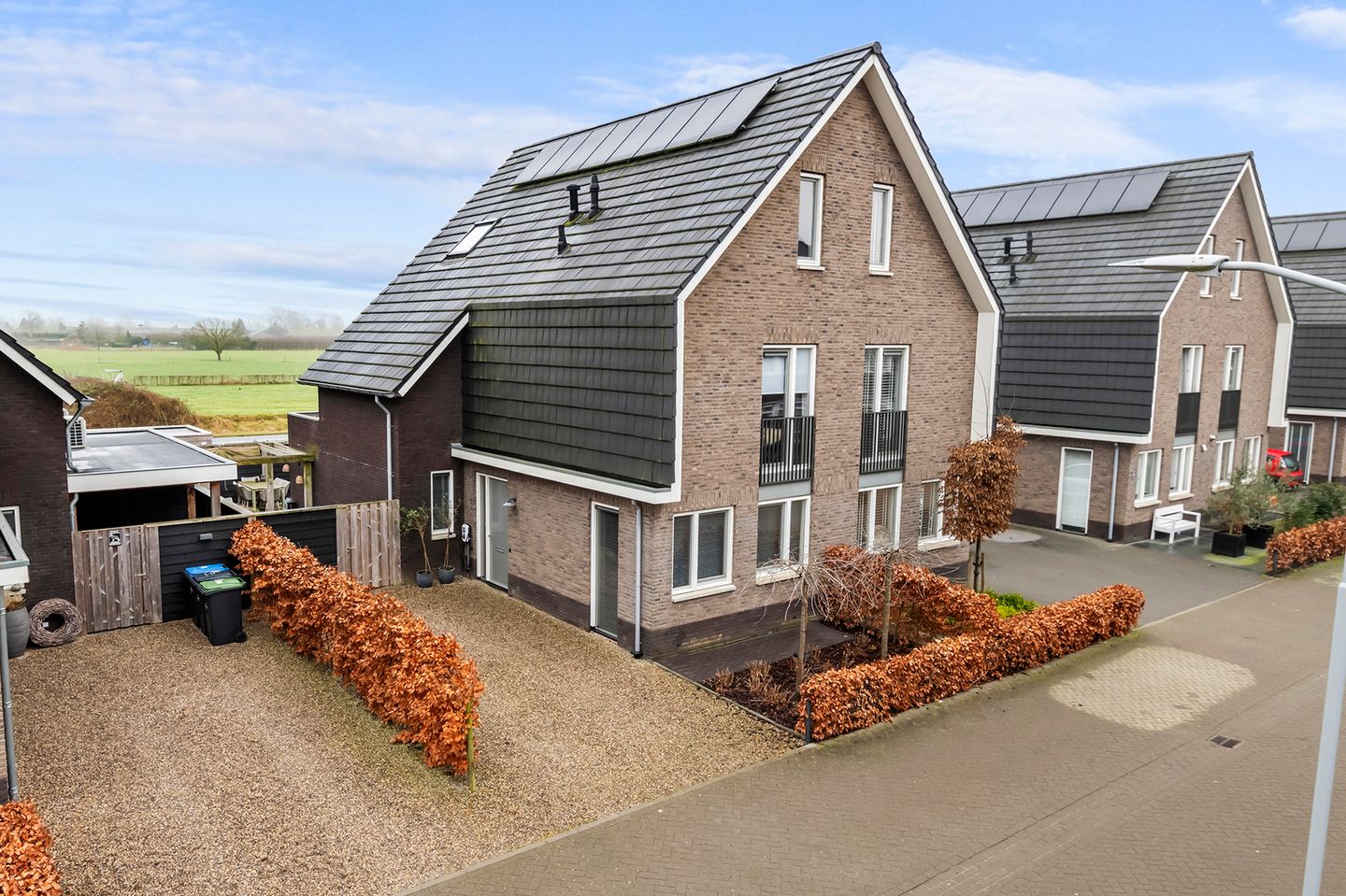 Foto 1 van Grote Vuurvlinder 30