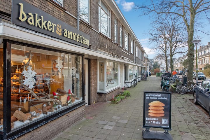 Foto 42 van Ambonstraat 28