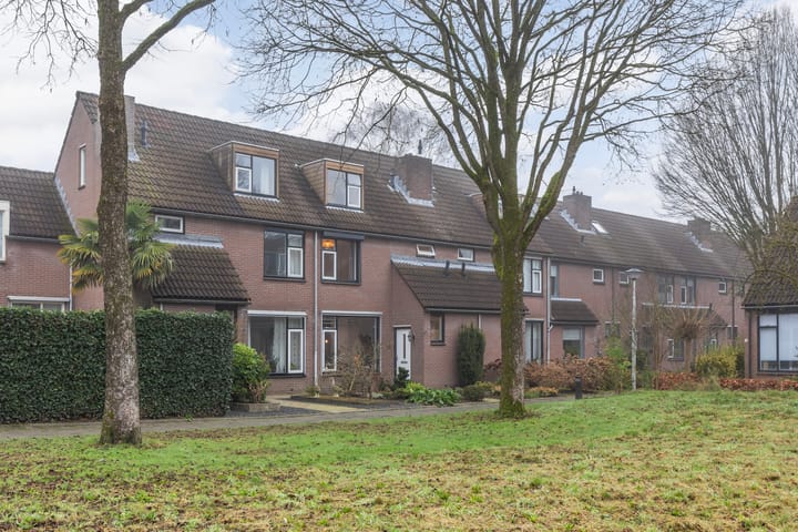 Foto 1 van Buizerdstraat 46