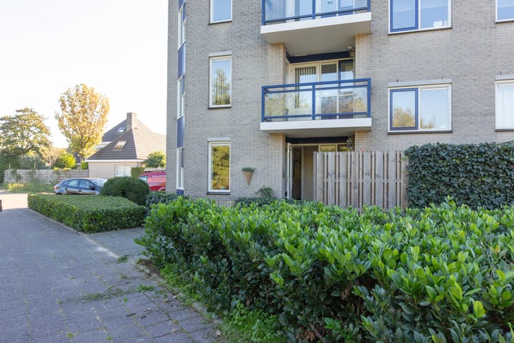 Foto 23 van Boekweitakker 8