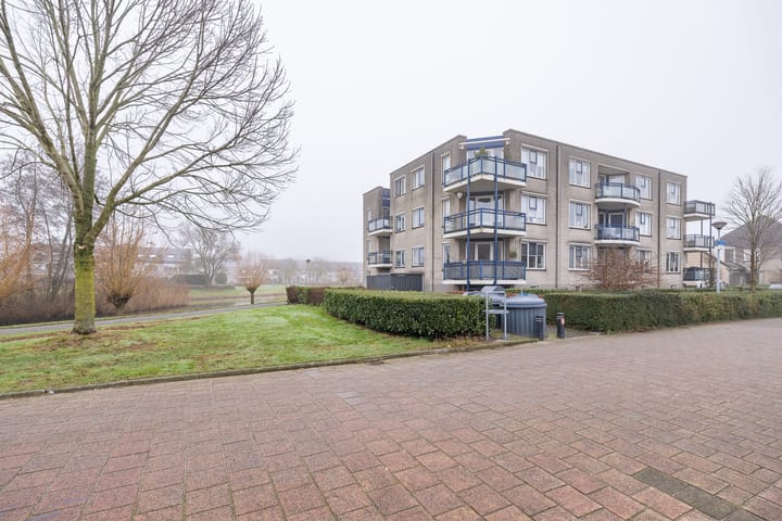 Foto 28 van Boekweitakker 8