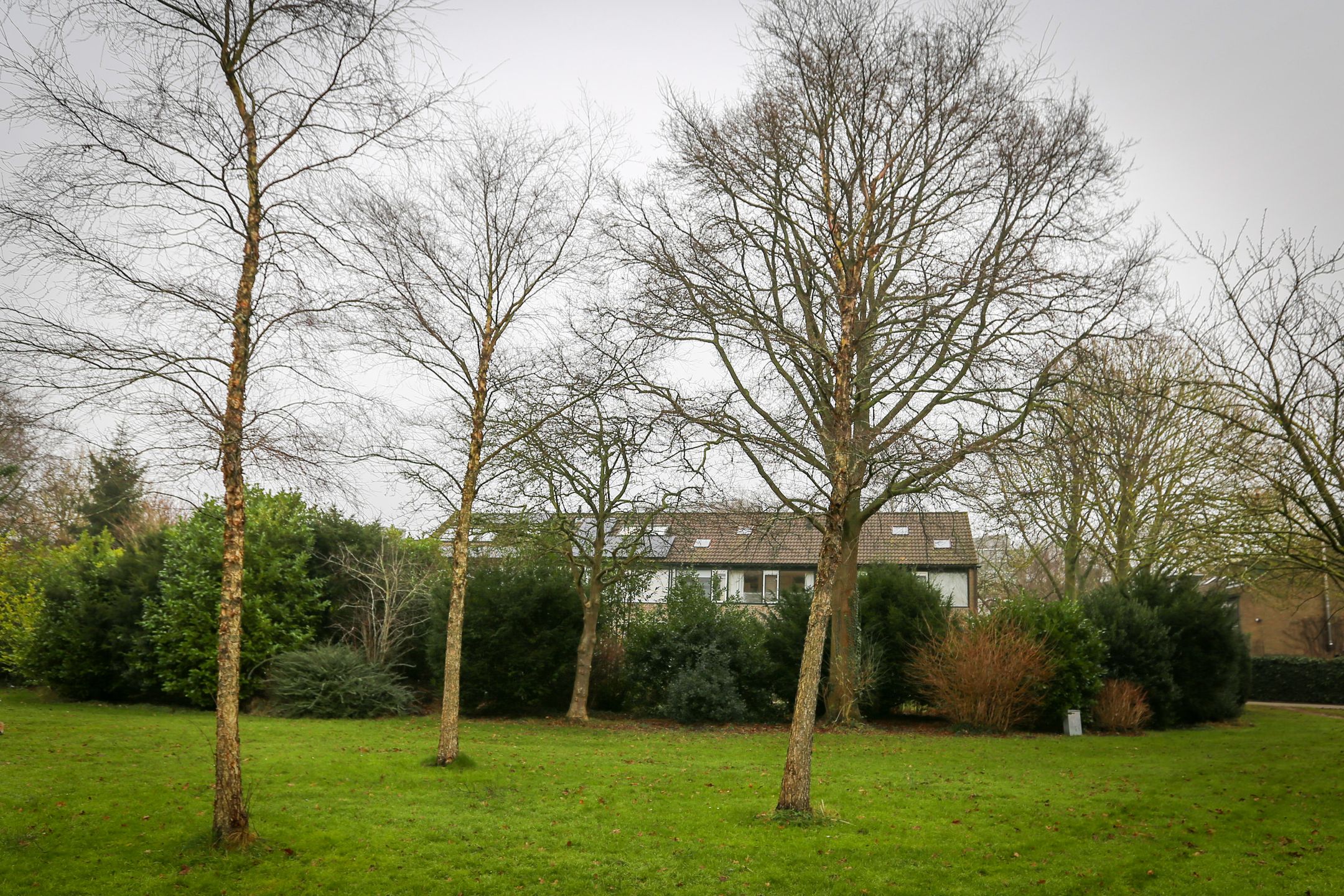 Foto 48 van Elzendreef 759