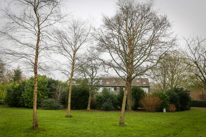 Foto 48 van Elzendreef 759