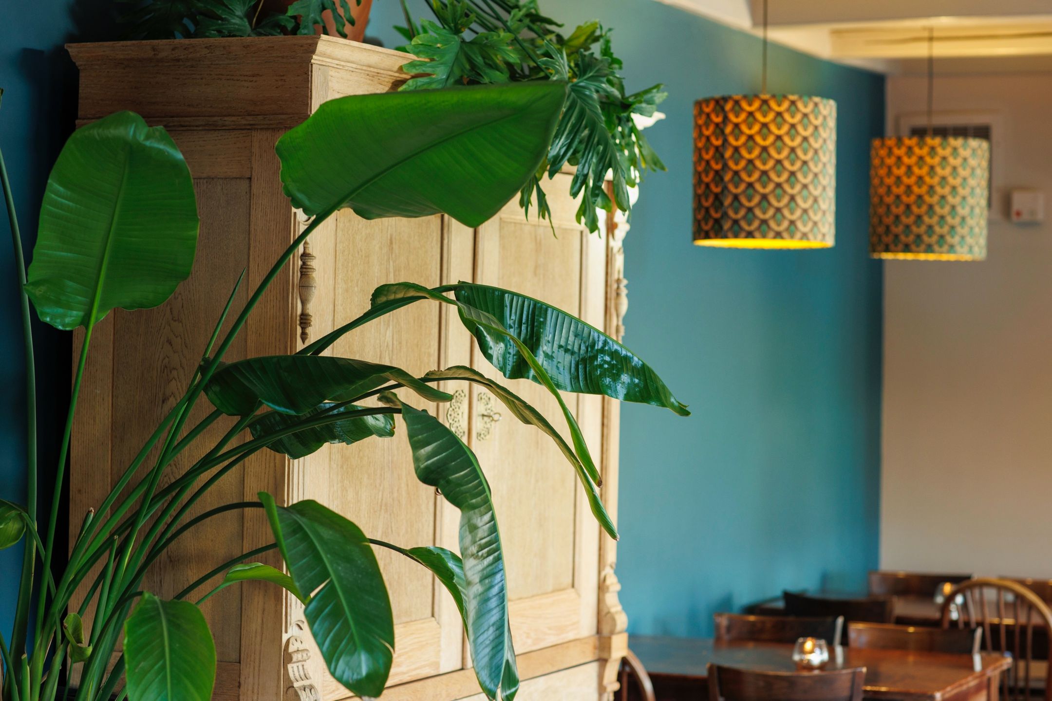 Foto 9 van Elte Martens Beimastrjitte 8