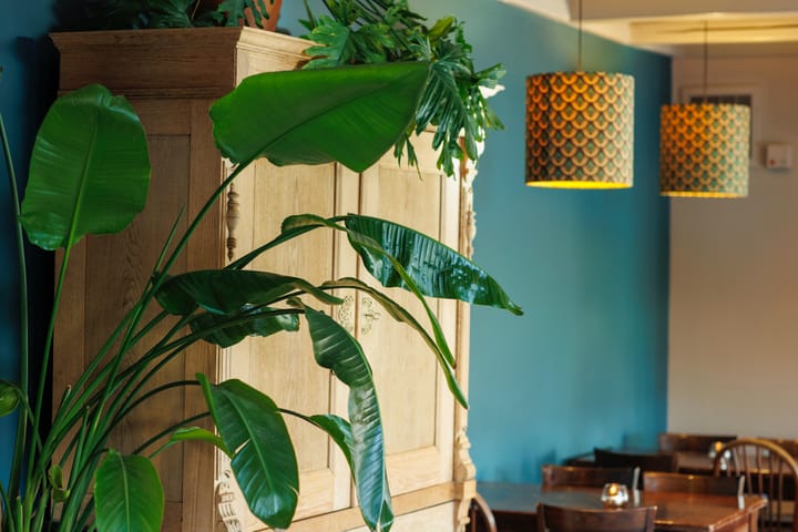 Foto 9 van Elte Martens Beimastrjitte 8