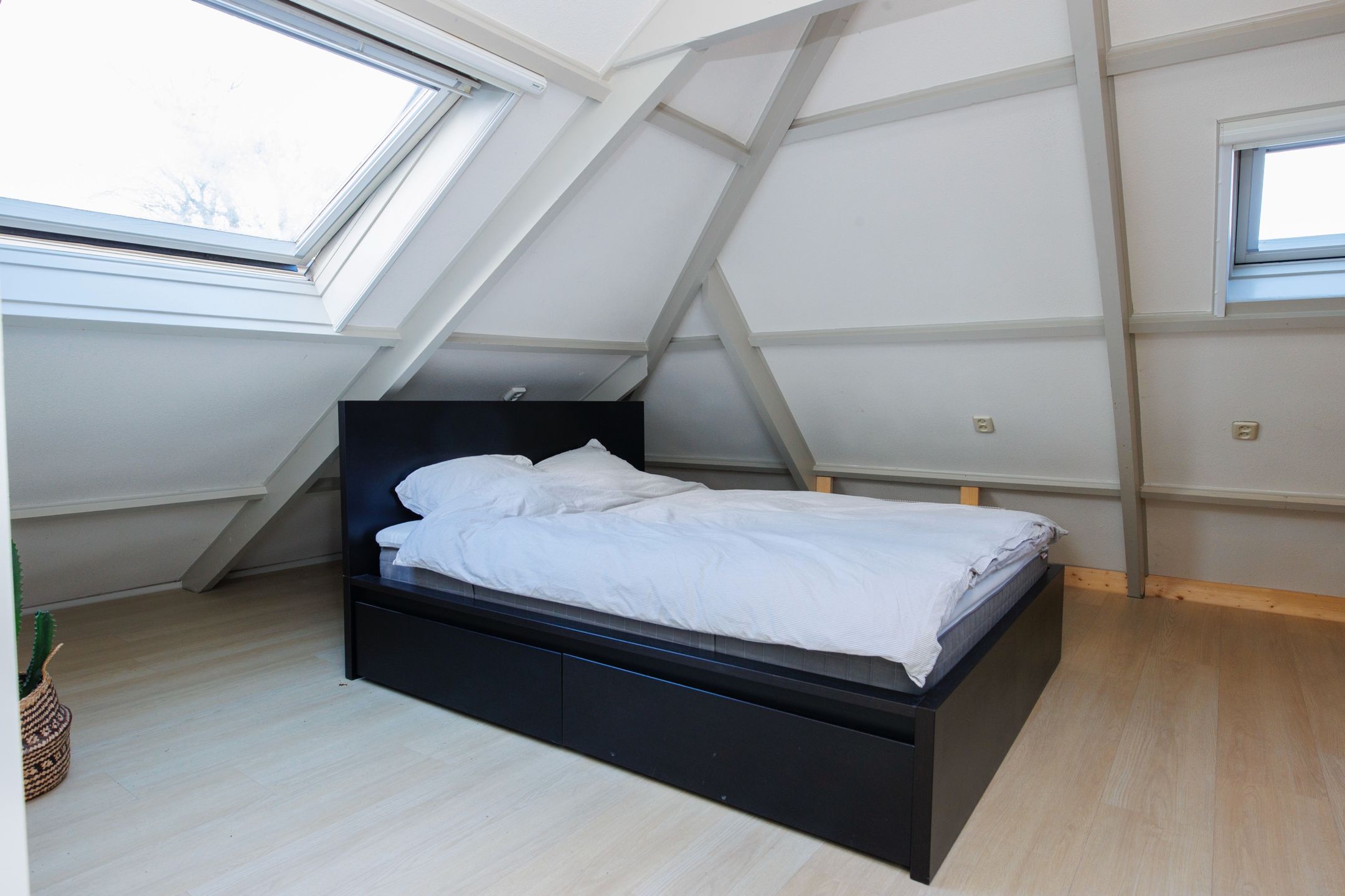 Foto 33 van Elte Martens Beimastrjitte 8